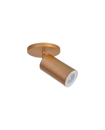 Luminária Spot Sobrepor 1 Lamp E27 Par20 Gold - 6015/1 GLD